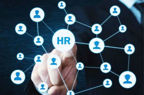 農業“新農人” 想做風口上的“智能豬”，技術開發能力不可少